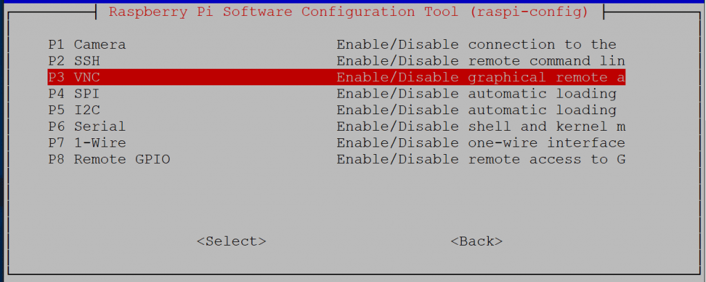 Enable VNC Server options