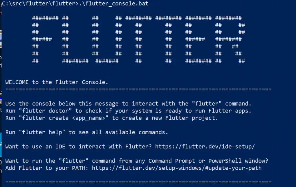 Flutter Console Bat