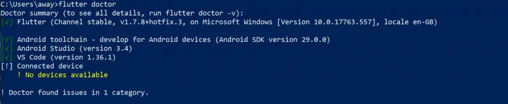 Flutter Doctor Result