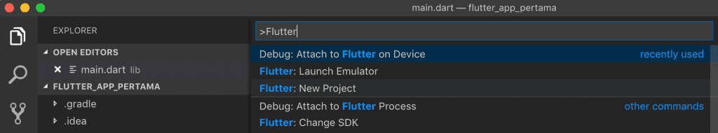 Flutter New Project