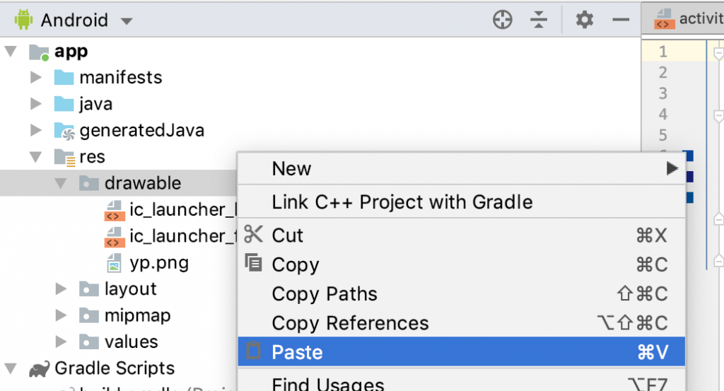 Paste the image in the drawable directory