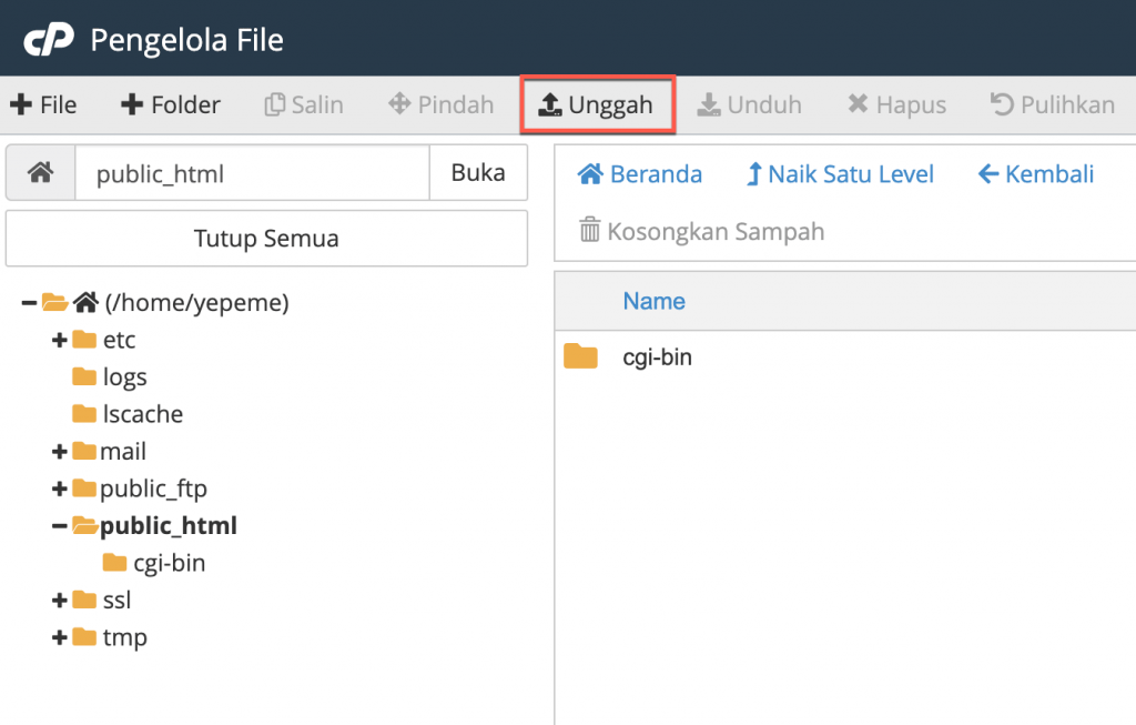 Upload WordPress file to cPanel