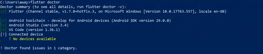Flutter Doctor Result